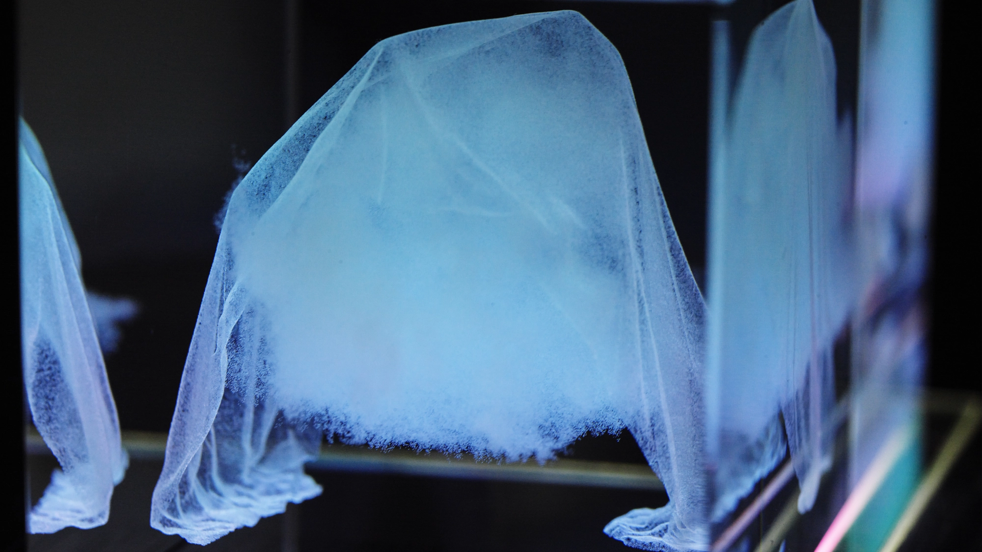 Air bubbles suspended inside the optical glass